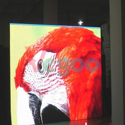 P7.62mm 1R1G1B SMD3528 que hace publicidad de la pantalla LED a todo color interior 244mm×244m m