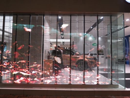 Exhibición llevada transparente al aire libre 5500CD/㎡ a todo color de la prenda impermeable 20m m